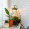 Growing Concepts DIY Duurzaam Ecosysteem Giants Ecolight XL - 20 Liter - Planten - Botanische Mix - H42xØ40cm