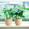 Ter Steege Plantenpot - moderne look - beige - 18 x 16 cm - bloempot