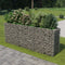 vidaXL - Gabion - plantenbak - verhoogd - 270x50x100 - cm - gegalvaniseerd - staal
