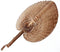 Waaier The Fan - Naturel
