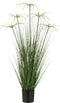 J-Line cyperus alternifolius 5 koppen in pot - kunststof - groen - small