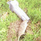 Woelmuizenval SuperCat