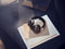 Bang & Olufsen H95 - Draadloze Over-Ear Hoofdtelefoon - Actieve Noise-Cancelling - Grijs Zwart