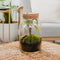 Forest - Terrarium met led - 30cm