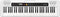 Casio CT-S200 WE - Beginners keyboard - 61 toetsen - USB - Gratis app Chordana Play