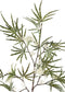 PTMD Twig Plant Aralia Bloem Kunsttak - 57 x 54 x 112 cm - Wit