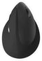 Qware Coventry - Draadloze Silent Muis - Multi-connect 3 apparaten 1600 DPI - Zwart