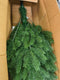 vidaXL - Kunstkerstboom - met - levensechte - naalden - 210 - cm - groen