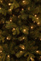 Black Box Trees Harma Smalle Kunstkerstboom met LED Verlichting - H260 x Ø73 cm - Groen