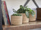 Ter Steege Plantenmand Zeegras Beige-Bruin D 15 cm H 15 cm Voordeelaanbod Per 2 Stuks
