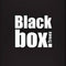 Black Box Trees Frasier Kunstkerstboom met LED verlichting - H305 cm - Groen