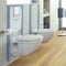 GROHE Skate Cosmopolitan - Bedieningspaneel Toilet - Dual flush - Chroom