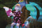 Casper En Emma - Maken Theater (DVD) - Avontuur met knuffels (AL)