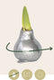 Plant in a Box - Amaryllis - Hippeastrum 'Glitter Silver' - Bloembol - Rode bloemen