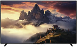 Panasonic TV55Z80BEZ - Smart TV - 4K Ultra HD - OLED - Zwart