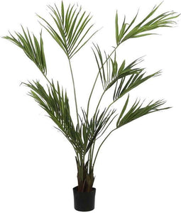 Mica Decorations Kentiapalm - H180 x Ø140 cm - groen