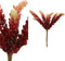 Succulent Plant Sedumpluk - PTMD - Rood En Geel