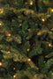 Black Box Trees Frasier Kunstkerstboom met LED verlichting - H305 cm - Groen