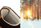 Milanoro - Lederen herensneakers - Warm gevoerd - Cognac - Maat 44