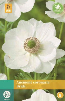 Jub - Anemone Coronaria Bride