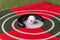 Pure2Improve Golf puttingcup verstelbaar zwart