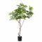 PTMD Kunstplant Fig - 118x110x152 cm - Polyester - Groen