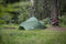 VANGO Apex Compact 300 - Koepeltent - Lichtgewicht - Forest Green