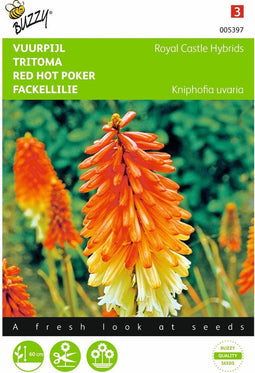 2 stuks - Buzzy - Kniphofia tritoma Royal Castle Hybr.