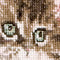 Thea Gouverneur - Borduurpakket met telpatroon - 731A - Voorgesorteerde DMC Garens - Kerst Kitten - Aida - 31 cm x 30 cm - DIY Kit