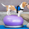 Fitpaws Donut Houder 55 Cm Pvc Grijs