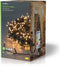 Nedis Kerstverlichting - Koord - 720 LED's - Warm Wit - 54.00 m - Licht effecten: 7 - Binnen & Buiten
