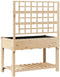 vidaXL - Tuinbak - met - Trellis - en - Plank - 115x59x152 - cm - Massief - Hout - Vuren