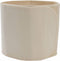 Carriwell Belly Binder - Sluitband postpartum - Ondersteuning buik en rug - Honey L/XL