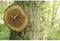 TFA boomschijf/boomstam wandklok - geolied eikenhout - D18 cm - naturel - muur klok - rond