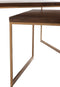 J-Line Salontafel Rafi 3Delig Ijzer/hout - goud/donkerbruin
