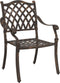vidaXL - Tuinstoelen - 2 - stuks - in - bronzen - gietaluminium