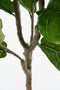 Mica Decorations Ficus Lyrata Kunstplant in Pot - H150 x Ø50 cm - Groen