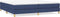 vidaXL - Boxspringbed - 200x200 cm - Stof - Blauw