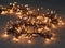 CBD LED CLASSIC CLUSTER LIGHTS 1536L/9M - 4M AANLOOPSNOER ZWART - BI-BUI TRAFO TIMER 8/16U
