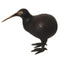 Pole to Pole - Kiwi Bird S