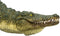 Mojo Wildlife Krokodil met Bewegende kaak - 387162