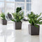 LECHUZA CUBE PREMIUM 50 - Plantenbak - met uitneembare binnenbak - met bewateringssysteem - ALL-IN-ONE set met LECHUZA-PON - zilver metallic