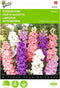 2 stuks - Buzzy - Delphinium Ajacis Hyacinthbloemig Gemengd
