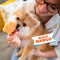 Smoofl Honden IJsmix Mango 160 gr