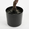 Mica Decorations Olijf Kunstplant in Bloempot - H75 x Ø15 cm - Groen