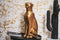 Housevitamin Leopard Gold 50 cm