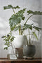 Mica Decorations Douro Bloempot - H28 x Ø33 cm - Terracotta - Groen