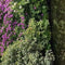 Customize it - Tuinschilderij bloemenpracht 130x70