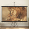 vidaXL - Projectiescherm - met - statief - 4:3 - 60''