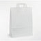 Klika - Draagtassen wit kraft 22/10x38 250st - 2 stuks